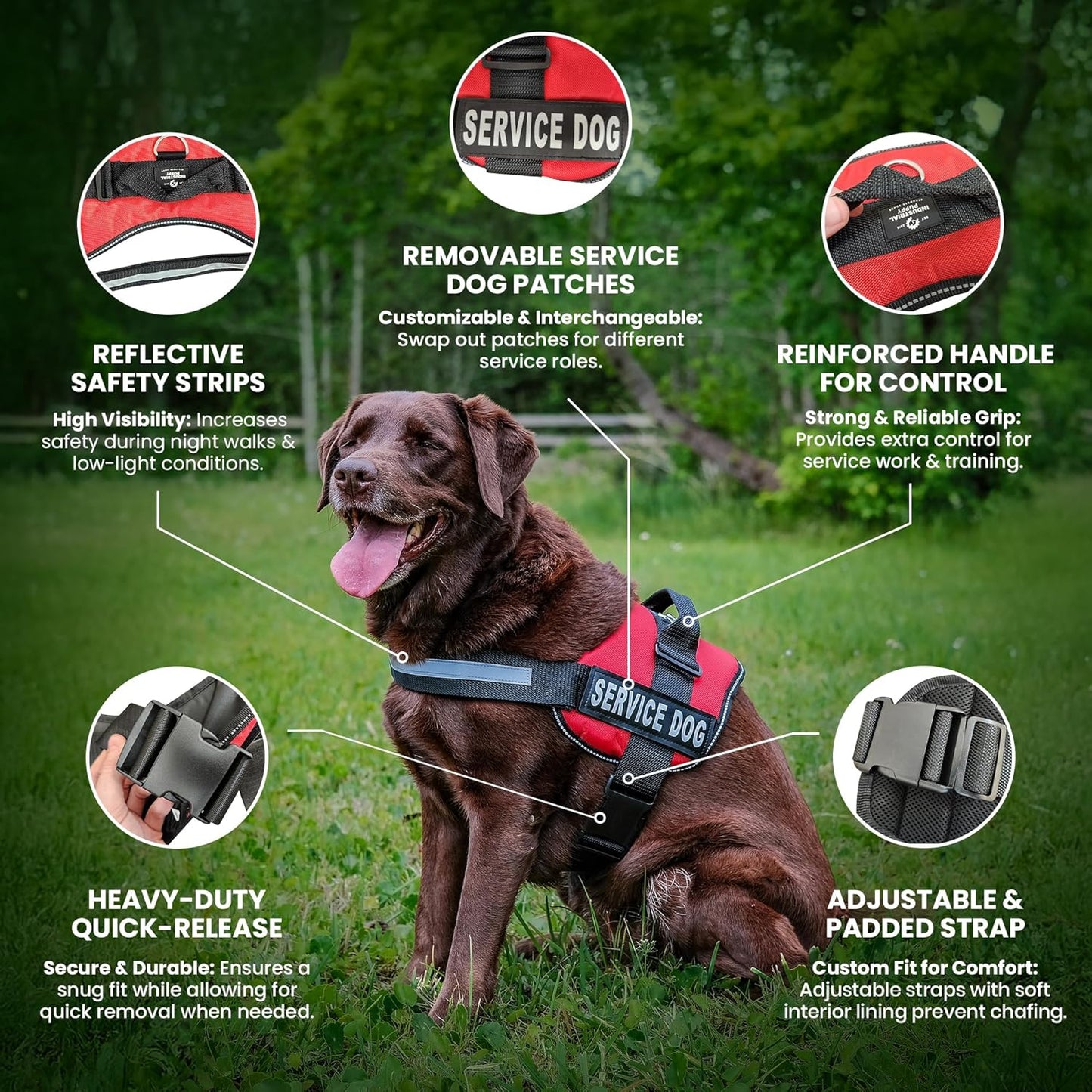Emotional Support Vest Harness with Hook, Loop Straps and Handle, 2 Reflective Emotional Support Self-Adhesive Straps, Detachable, ESA Matching Leash Set, Dog Accessories, XXS, Red