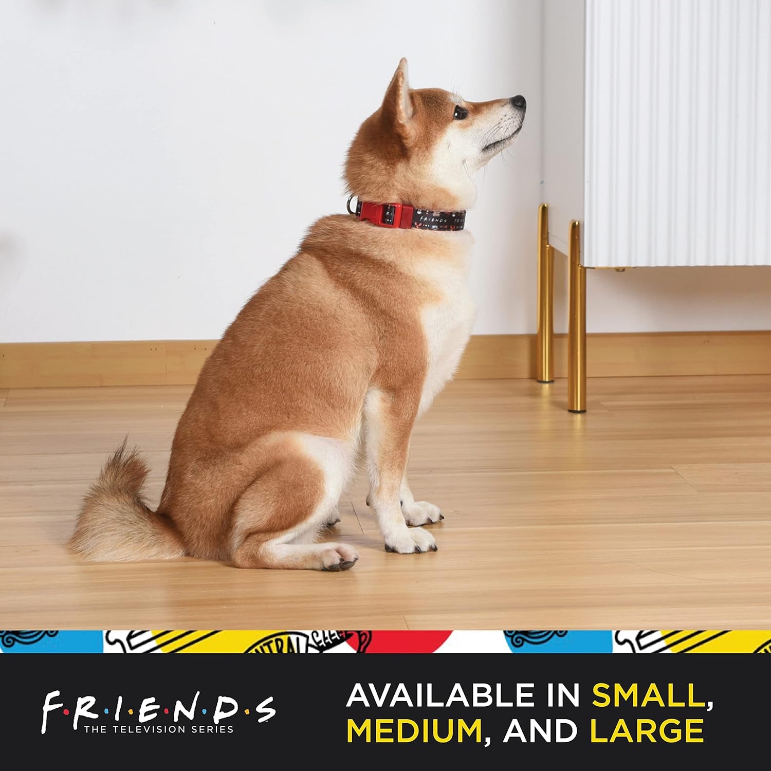 Friends Merch: Iconic TV Show Dog Collar, Black with D-Ring for Medium Dogs