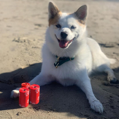 Dog Poop Bags (240 Bags) for Waste Refuse Cleanup, Doggy Roll Replacements for Outdoor Puppy Walking and Travel, Leak Proof and Tear Resistant, Thick Plastic - Red