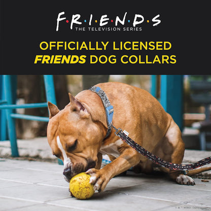 Friends Merch: Iconic TV Show Dog Collar, Black with D-Ring for Medium Dogs