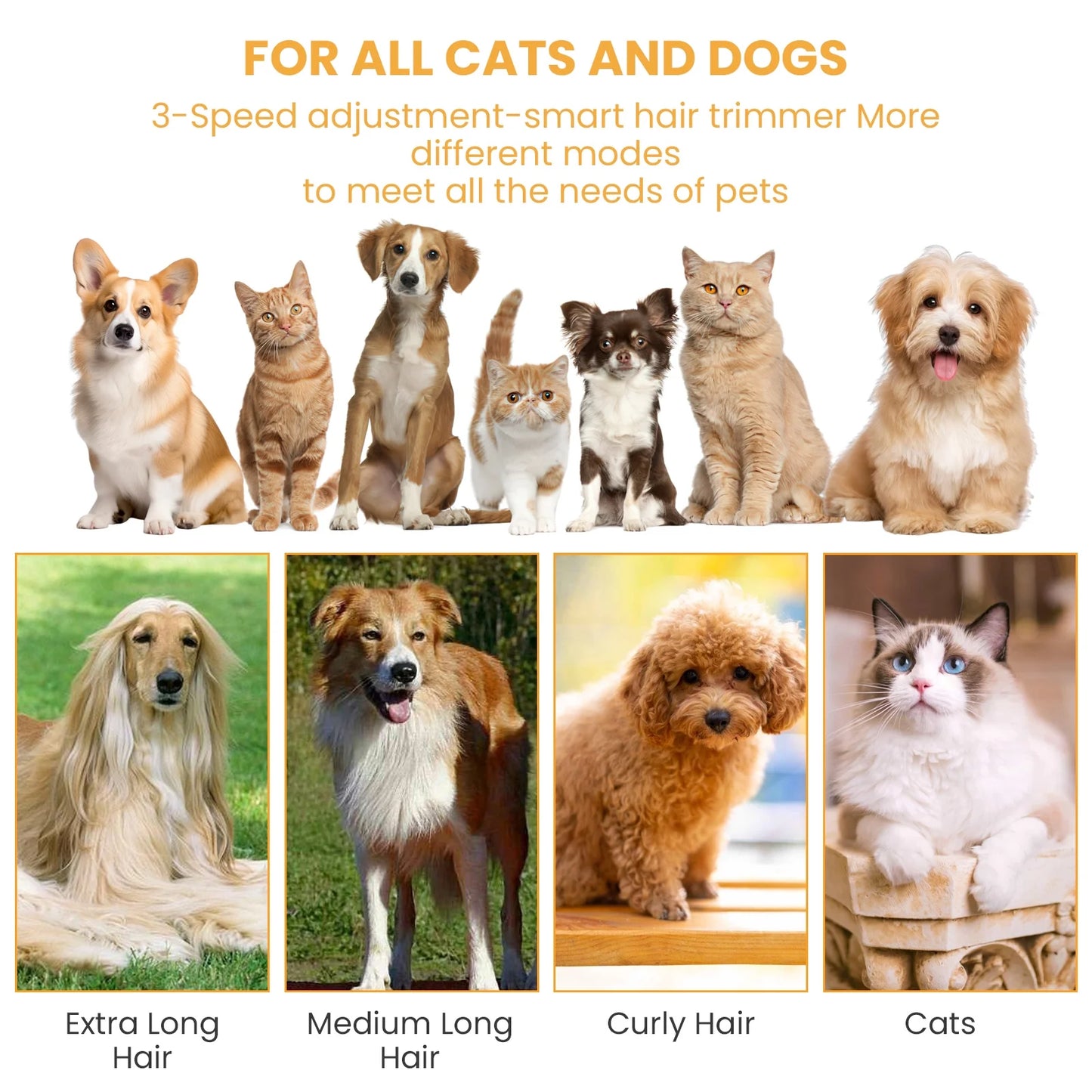 Pet Grooming Vacuum for Dogs & Cats, 13000Pa Suction, 5-In-1 Grooming Kit with Low Noise, 2.5L Dust Cup, Wireless Clippers, Deshedding Brush – Professional At-Home Pet Hair Cleaner